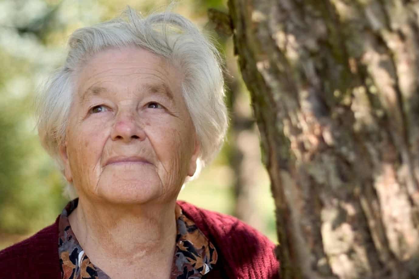 Alzheimer’s disease